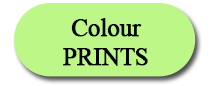 colour-prints